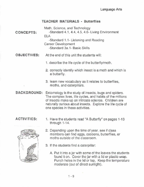 Butterflies Lesson Plan