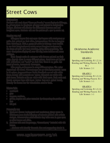 Street Cows Lesson Plan