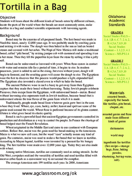 Tortilla in a Bag Lesson Plan