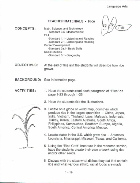 Rice Lesson Plan