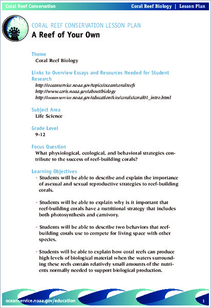 A Reef of Your Own Lesson Plan