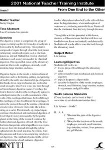 From One End to the Other Lesson Plan