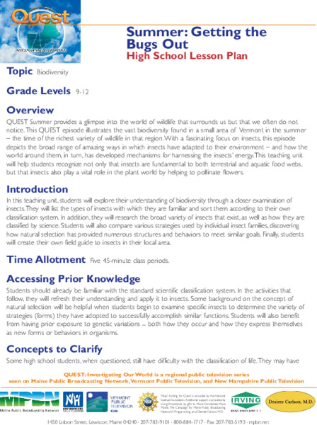 Summer: Getting the Bugs Out Lesson Plan