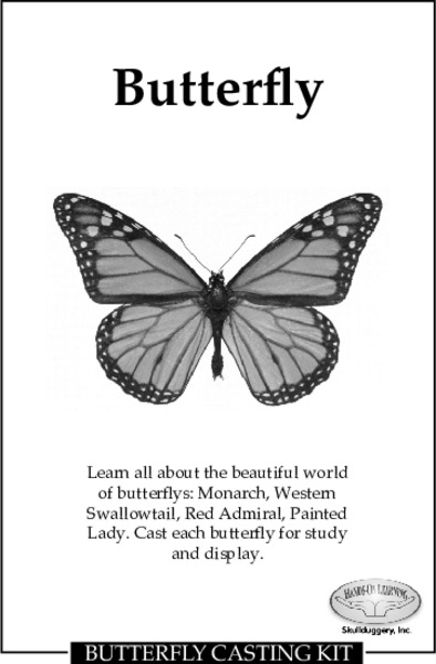 Butterfly Lesson Plan