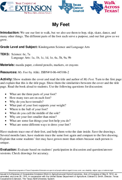 My Feet Lesson Plan