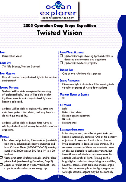 Twisted Vision Lesson Plan