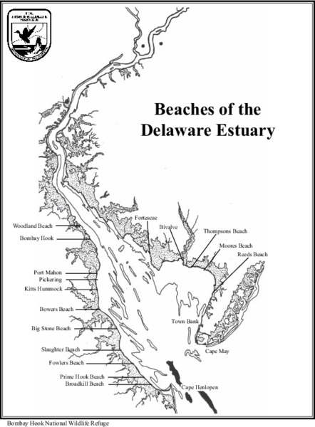 Beaches of the Delaware Estuary Lesson Plan