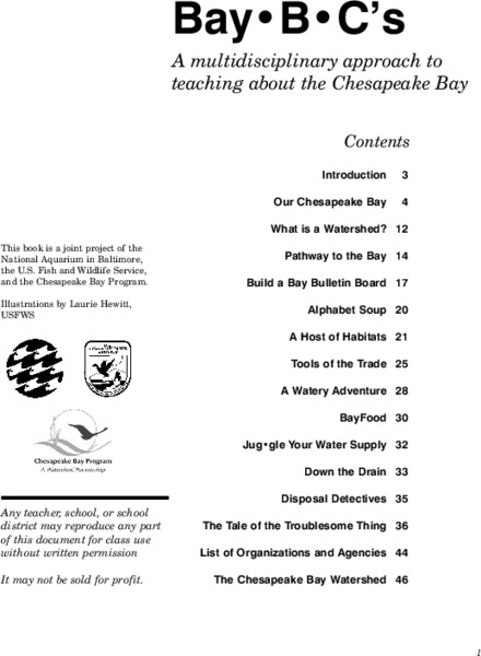 Bay B C's Lesson Plan