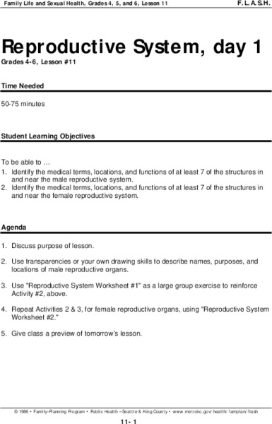 Reproductive System Lesson Plan