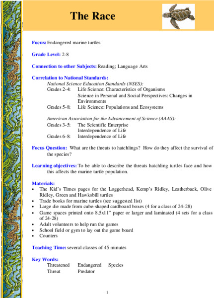 The Race Lesson Plan