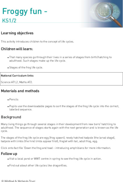 Froggy Fun Lesson Plan
