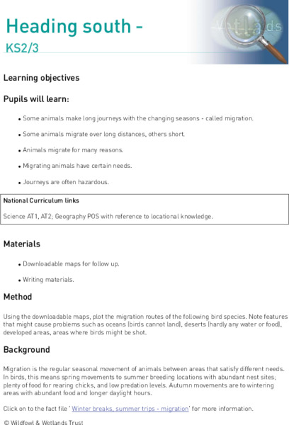 Heading South Lesson Plan