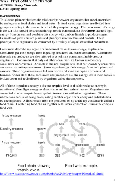 it's Lonely At The Top Lesson Plan