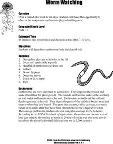 Worm Watching Lesson Plan