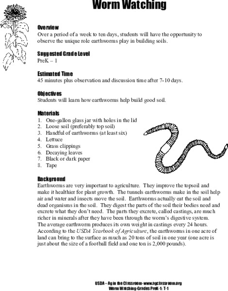 Worm Watching Lesson Plan