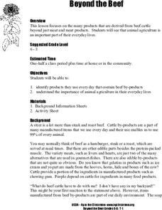 Beyond the Beef Lesson Plan