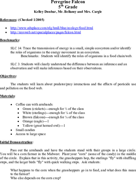 Peregrine Falcon Lesson Plan