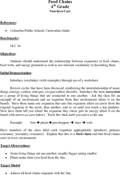 Food Chains Lesson Plan