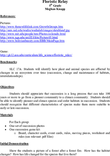 Simple Machines IV - Levers Lesson Plan
