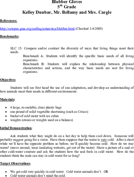 Blubber Gloves Lesson Plan
