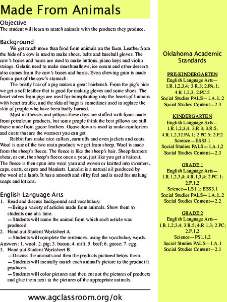 Made from Animals Lesson Plan