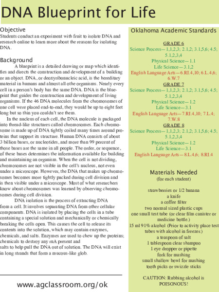 DNA Blueprint for Life Lesson Plan