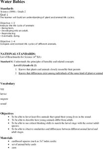 Water Babies Lesson Plan