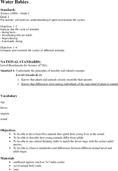 Water Babies Lesson Plan