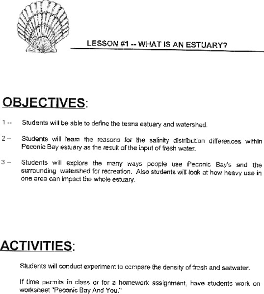 What is an Estuary? Lesson Plan