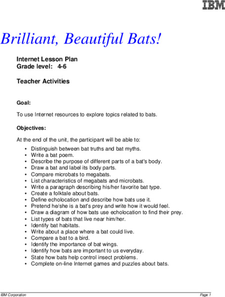 Brillant, Beautiful Bats! Lesson Plan