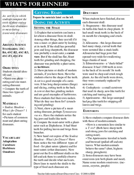 What's For Dinner? Lesson Plan