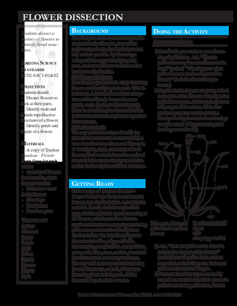 Flower Dissection Lesson Plan