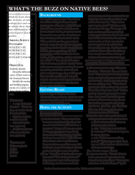 What's the Buzz on Native Bees? Lesson Plan