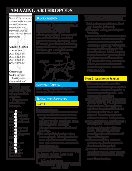 Amazing Arthropods Lesson Plan