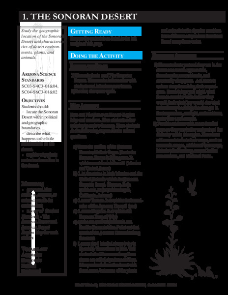 The Sonoran Desert Lesson Plan