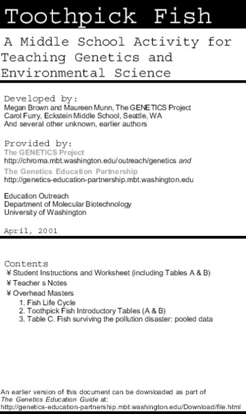 Toothpick Fish Lesson Plan