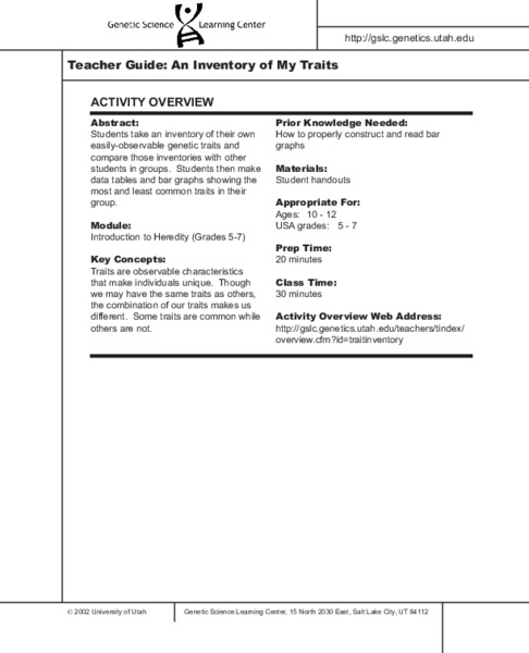 An Inventory of My Traits Lesson Plan