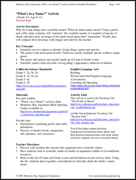 What's in a Name? Lesson Plan