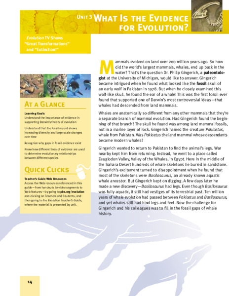 What is the Evidence for Evolution? Lesson Plan