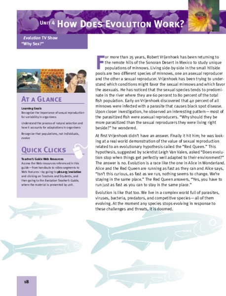 How Does Evolution Work? Lesson Plan