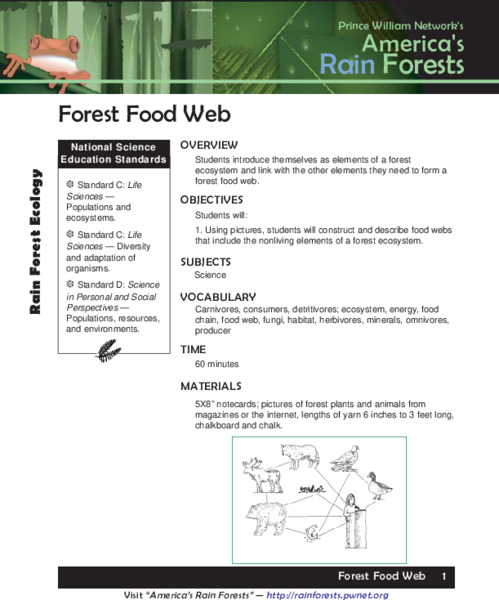 Forest Food Web Lesson Plan