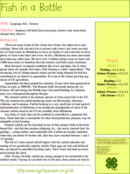 Fish In a Bottle Lesson Plan