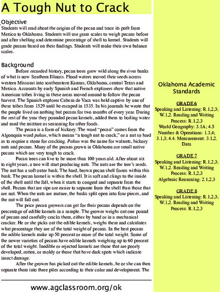 A Tough Nut to Crack Lesson Plan