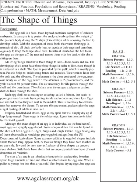 The Shape of Things Lesson Plan