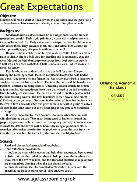 Great Expectations Lesson Plan