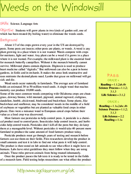 Weeds on the Windowsill Lesson Plan