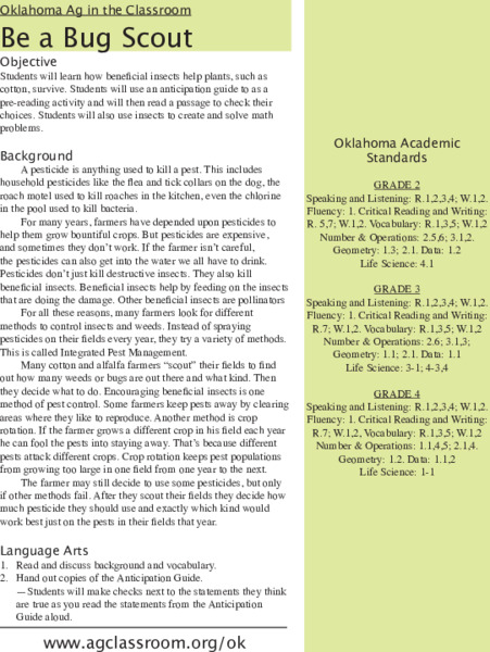 Be A Bug Scout Lesson Plan