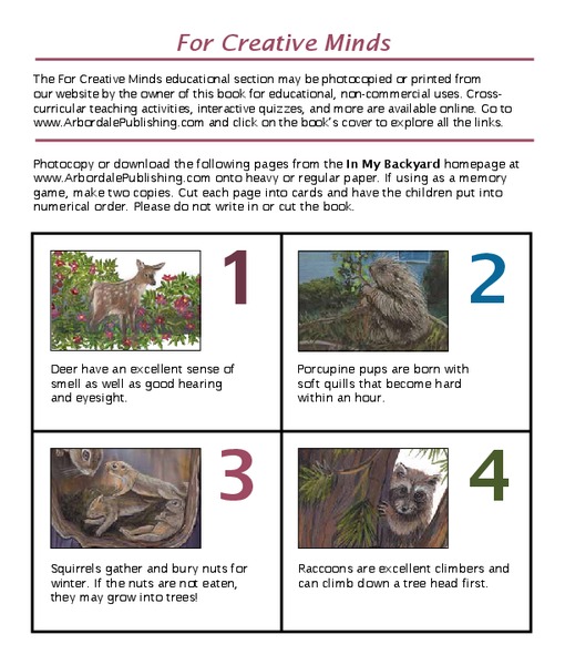 In My Backyard Worksheet