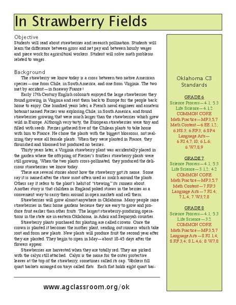 In Strawberry Fields Lesson Plan