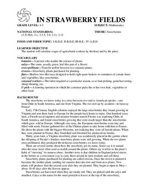 IN STRAWBERRY FIELDS Lesson Plan